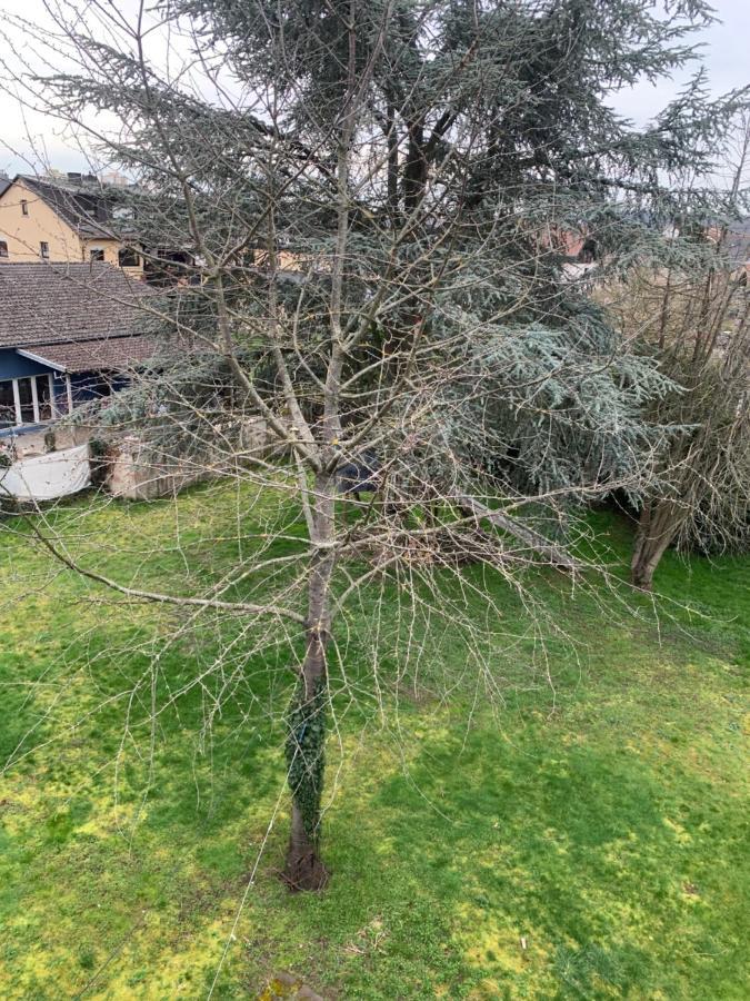 Mainpark Apartment 4 Schlafzimmer Bis Zu 10 Personen Direkt Ueber Aschaffapartment Bei Aschaffenburg Mainaschaff Εξωτερικό φωτογραφία